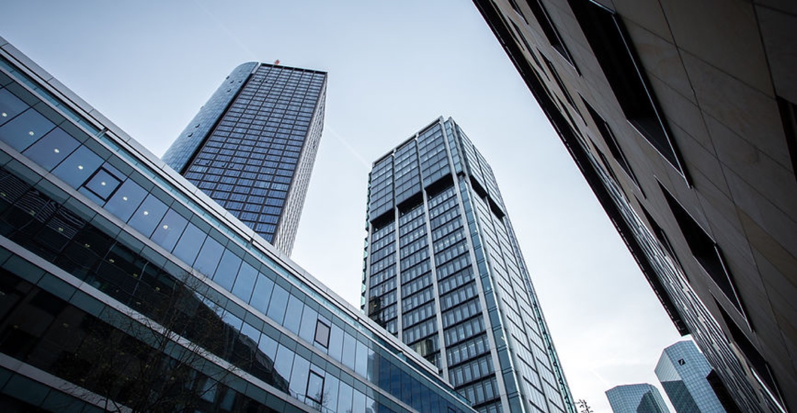 Commercial loans