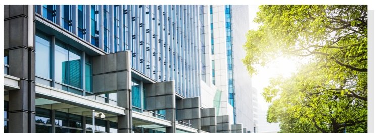 Commercial loans